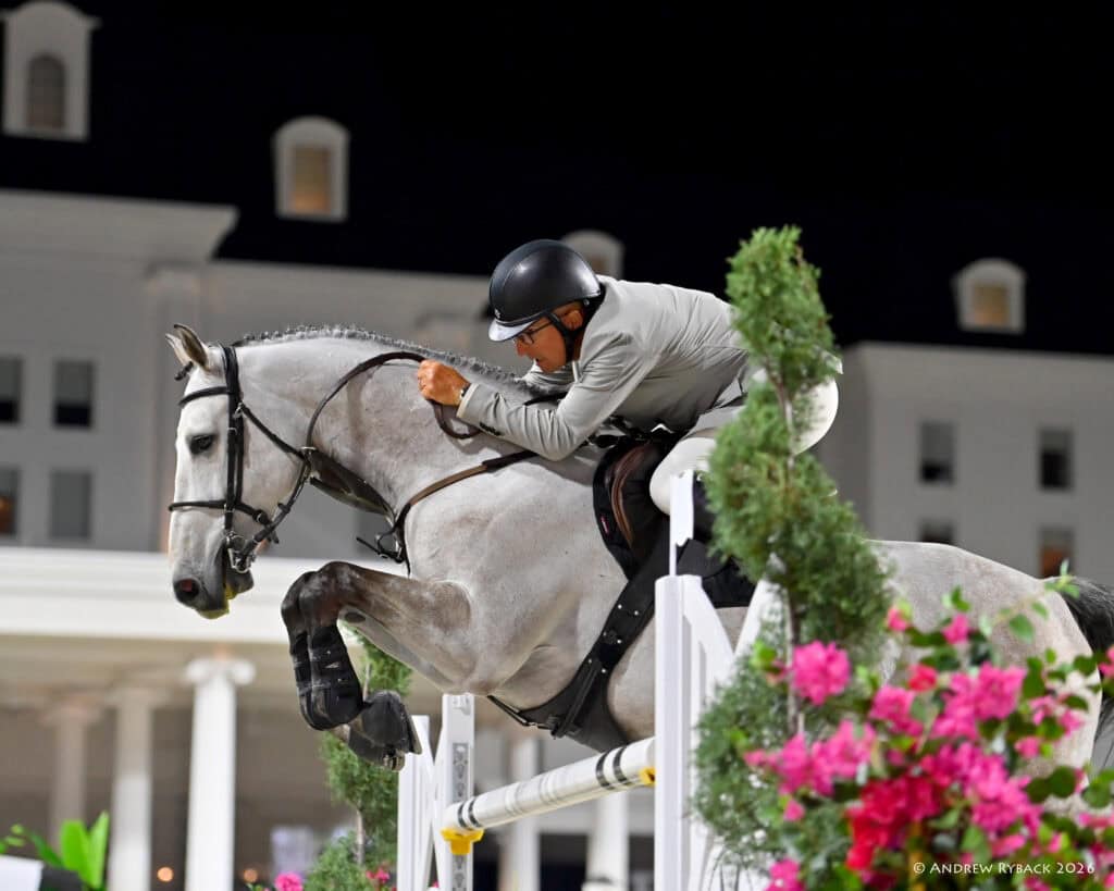 A rider in a grey jacket and helmet jumps a grey horse over an obstacle during a nighttime equestrian event, with a building and flowers visible in the background.