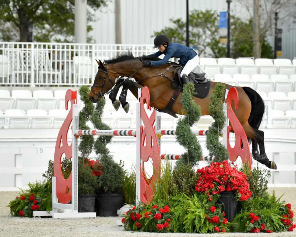 A horseback rider in a blue jacket and helmet jumps a brown horse over a red and white obstacle in an empty outdoor arena.