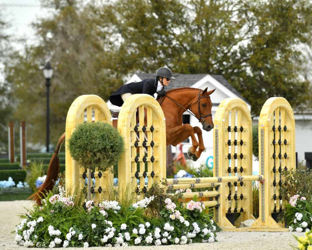 Equestrian rider in a black jacket and helmet jumps a brown horse over a yellow and black obstacle in an outdoor arena.