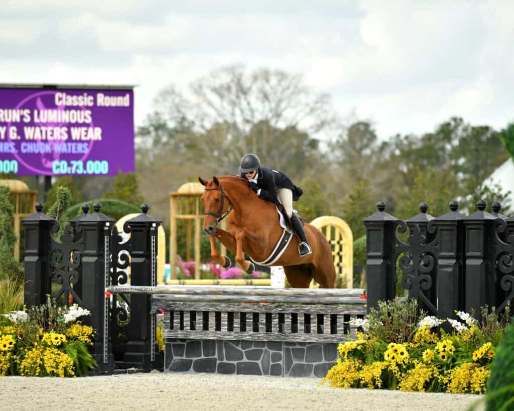 A rider and horse jump over an obstacle during an equestrian event, with a sign and flowers visible in the background.