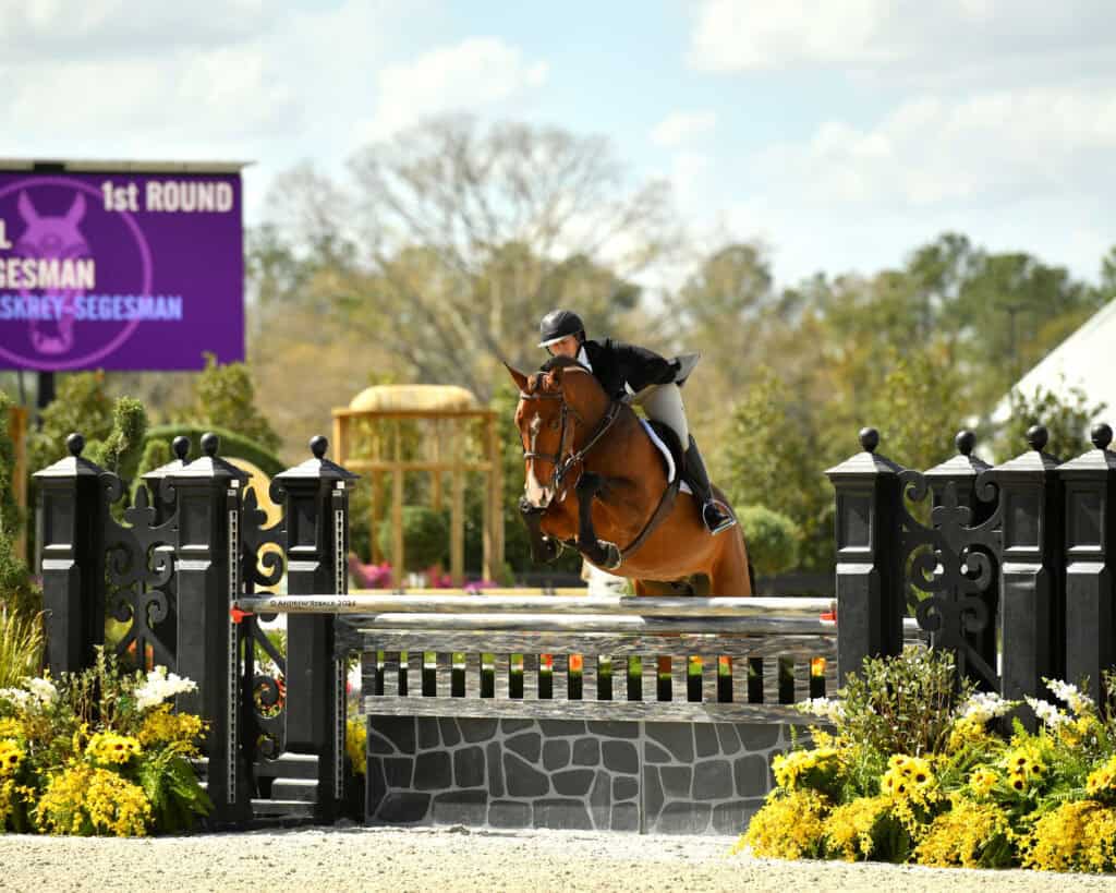 A rider in formal attire jumps a brown horse over a decorative fence during an outdoor equestrian event under a partly cloudy sky.