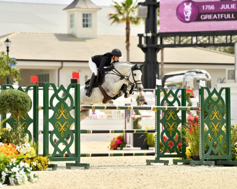 A rider in equestrian attire guides a gray horse over a green and yellow jump during a show jumping competition in an outdoor arena.