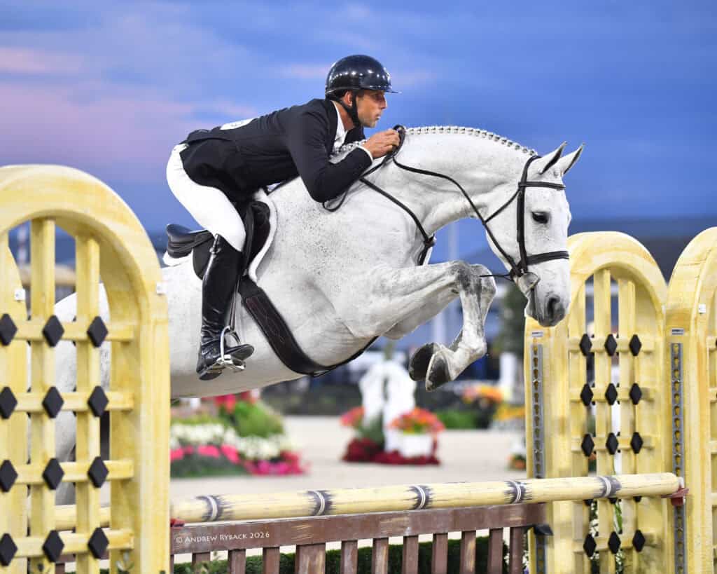 A rider in formal equestrian attire jumps a white horse over a wooden obstacle during a show jumping competition.