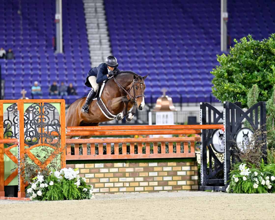 Amanda Steege & Lafitte De Muze Rise to $75,000 MARS Equestrian USHJA ...