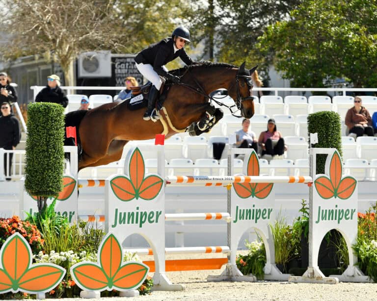 Equestrian rider and horse jump over an obstacle labeled "Juniper" during a show jumping competition, with spectators seated in the background.
