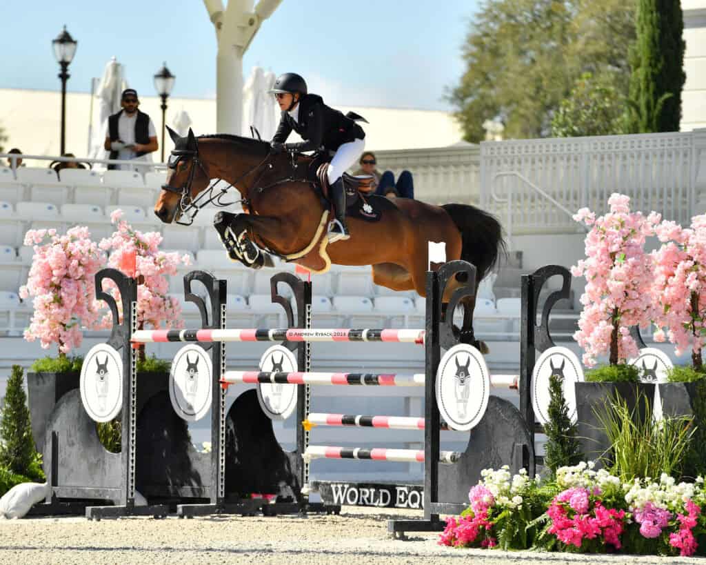 An equestrian rider and horse jump over a barrier during a show jumping competition, surrounded by pink flowers and white seating.