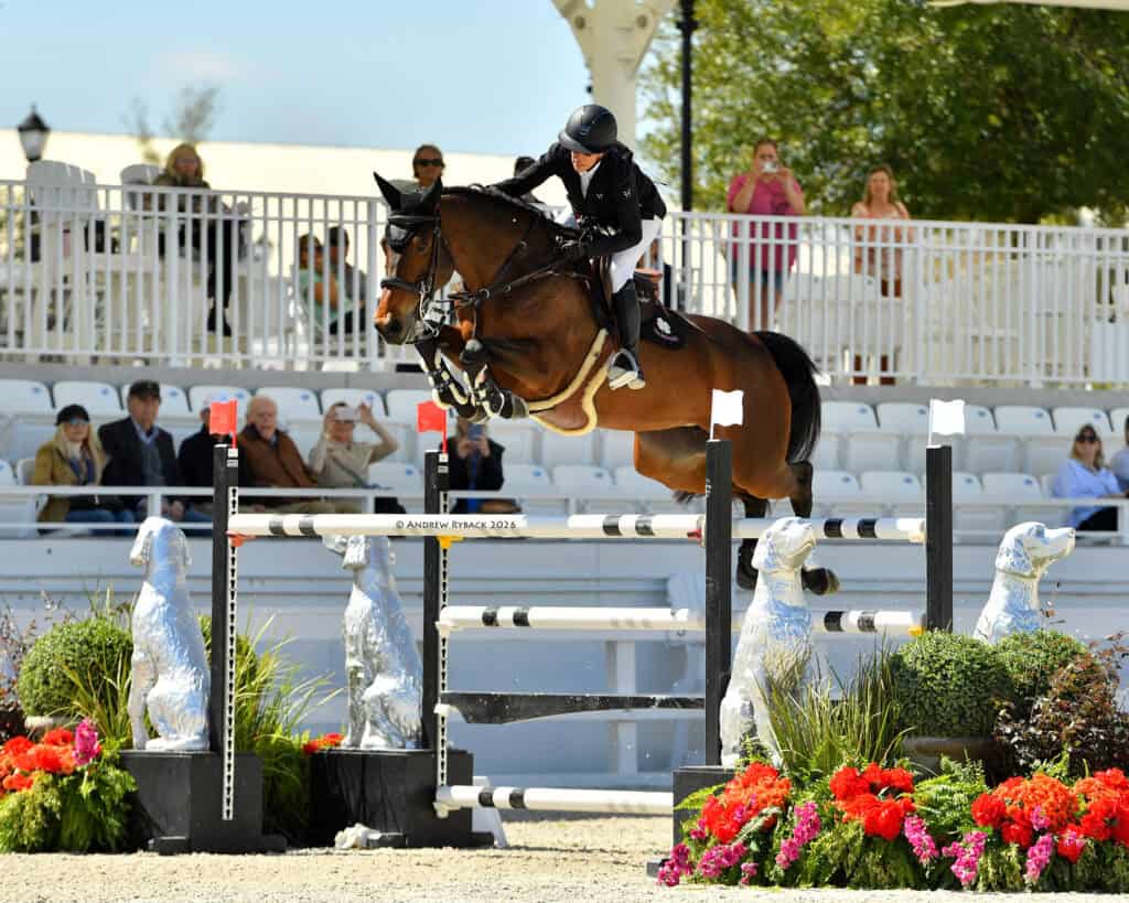 A rider on a brown horse jumps over an obstacle during an equestrian event, with spectators seated in the background.