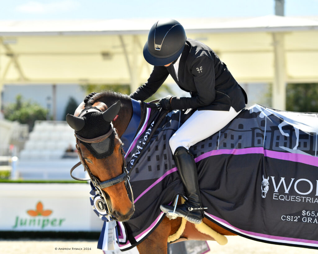 Equestrian rider in formal attire pats a horse draped in a winner's blanket at a competition event.
