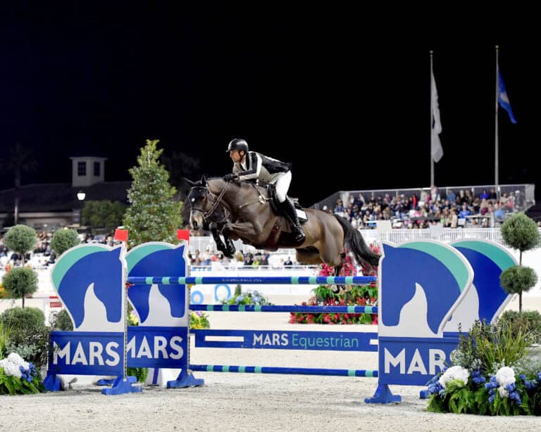 Horse and rider jump over a blue and green MARS Equestrian obstacle during a nighttime equestrian event with spectators in the background.