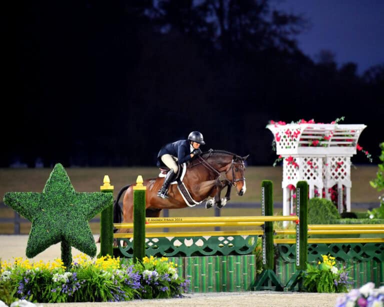 A person on horseback jumps over a yellow and green fence in an outdoor equestrian arena, with plants and decorative structures in the background.