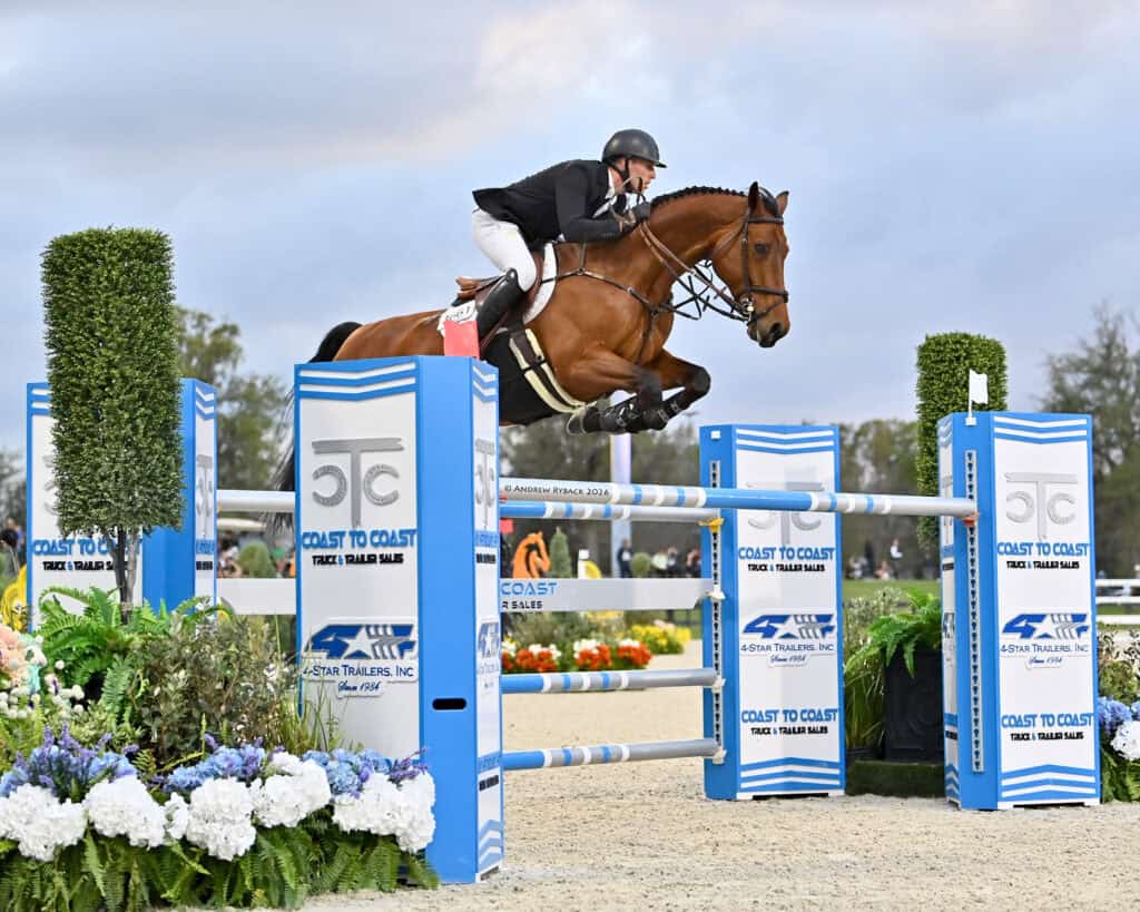 Equestrian rider and horse mid-jump over a blue and white obstacle during a show jumping competition, with flowers and greenery in the foreground.