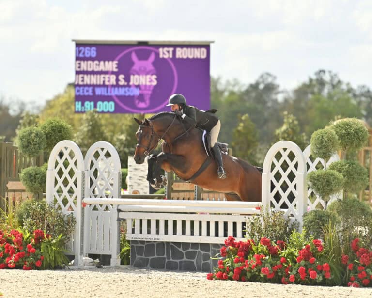 A rider in equestrian attire jumps a brown horse over a white fence during a competition, with a scoreboard in the background displaying round information.