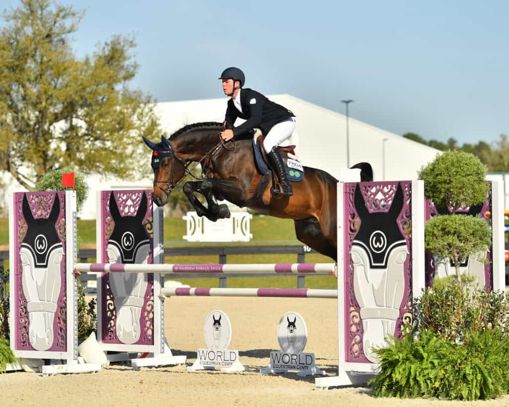 Equestrian athlete in riding attire guides a horse over a purple and white jump during a show jumping competition outdoors.