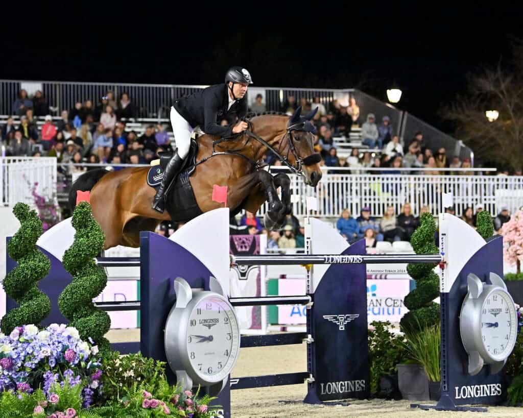Equestrian rider and horse jump over an obstacle during a show jumping competition, with spectators watching in the background.