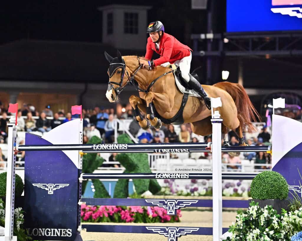 A rider in a red jacket and black helmet jumps a brown horse over an obstacle during an equestrian event, with spectators and decorations in the background.