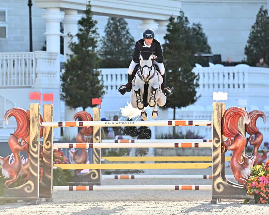 Equestrian rider in black attire jumps a white horse over a decorated obstacle during a show jumping event.