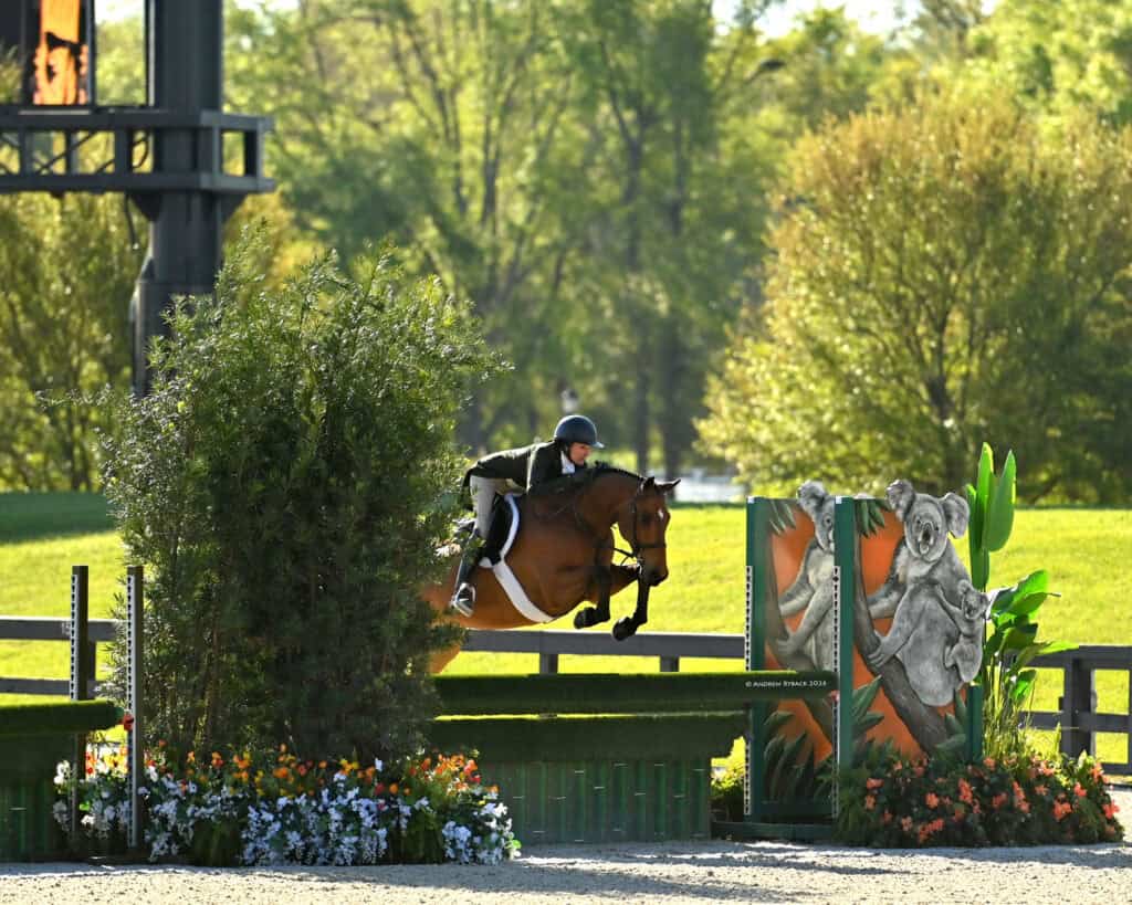 A person in equestrian gear rides a horse, jumping over a green and orange obstacle decorated with images of koalas during a show jumping event outdoors.