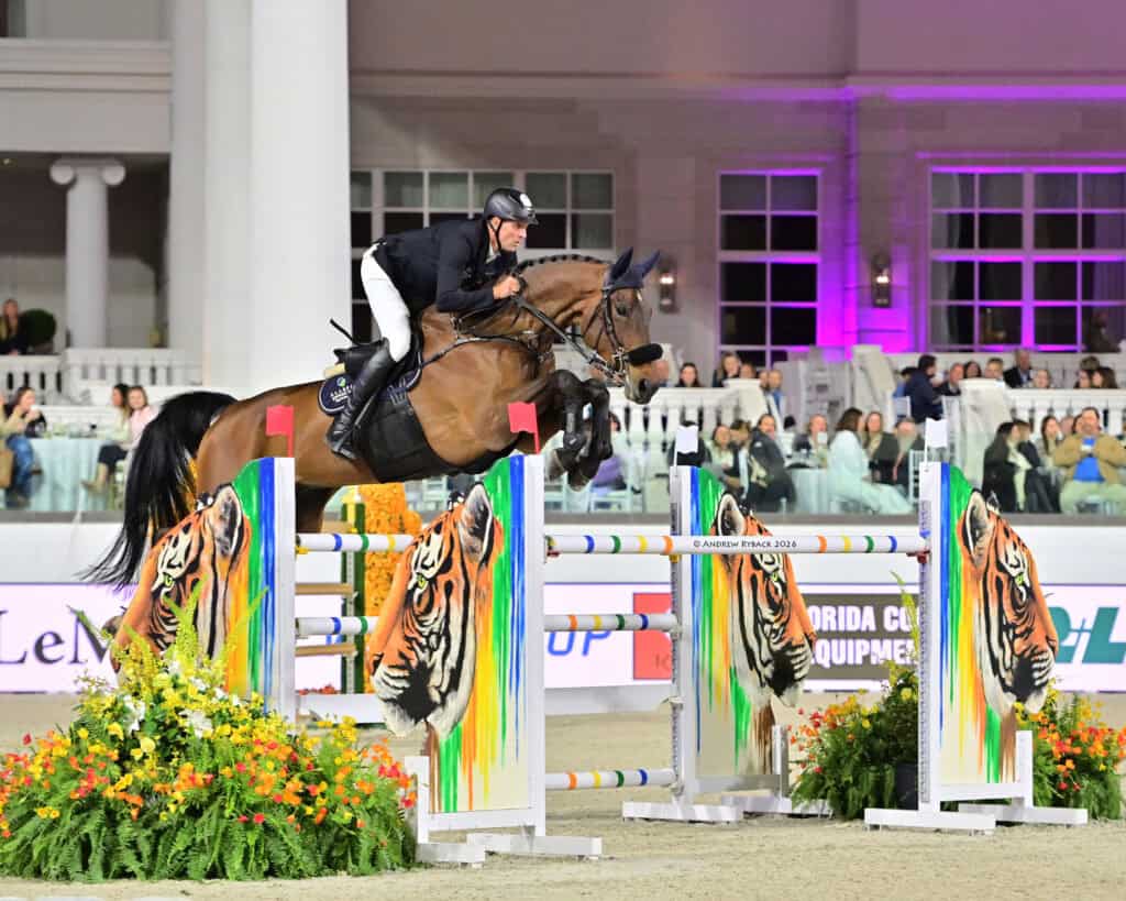 Equestrian rider and horse mid-jump over a colorful obstacle with tiger images at a show jumping event, audience watching in the background.