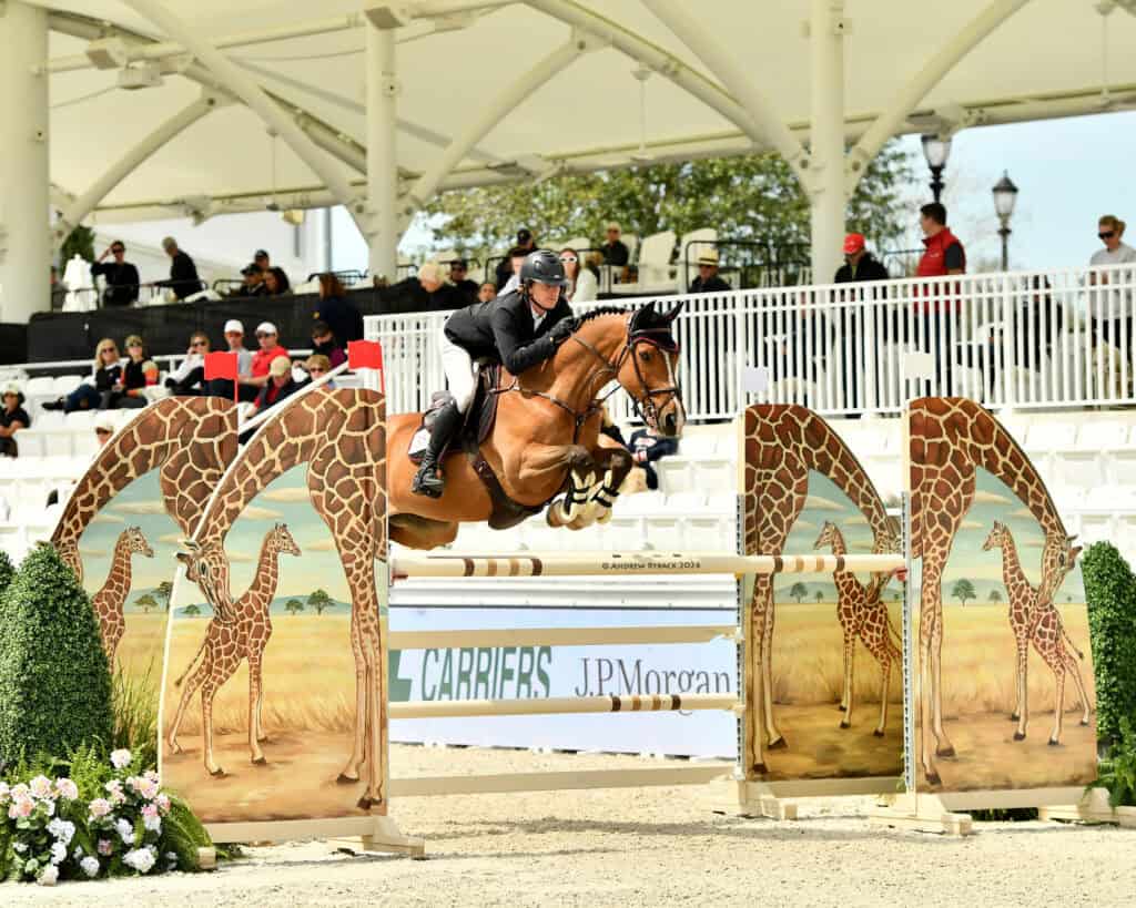 Equestrian rider and horse jump over an obstacle decorated with giraffe images at an outdoor competition, with spectators seated in the background.