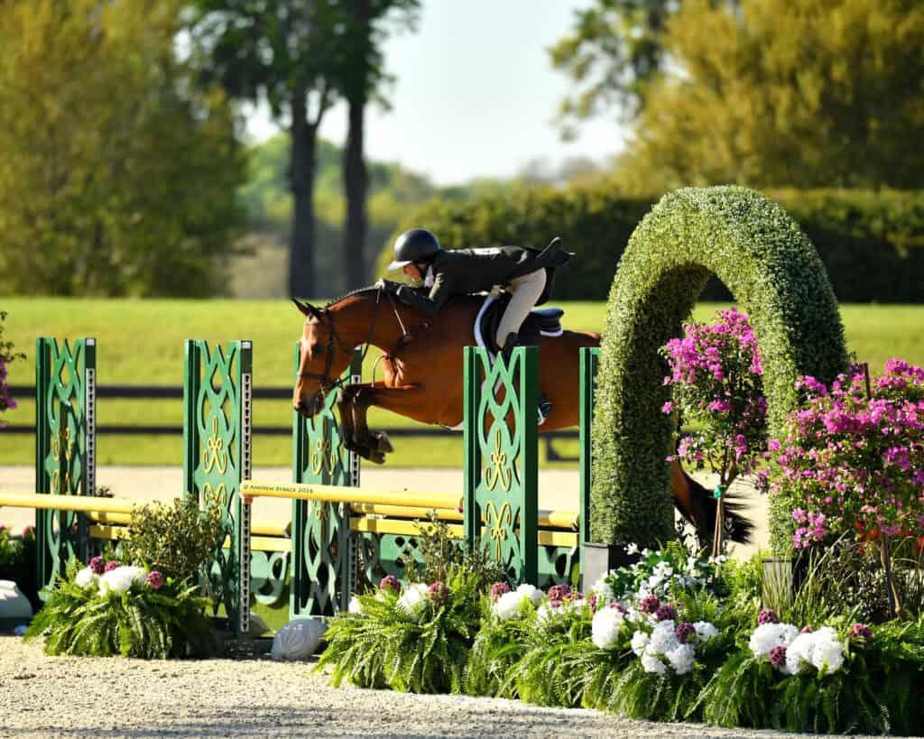 A rider on horseback jumps over a green and yellow obstacle in an outdoor equestrian arena surrounded by plants and flowers.