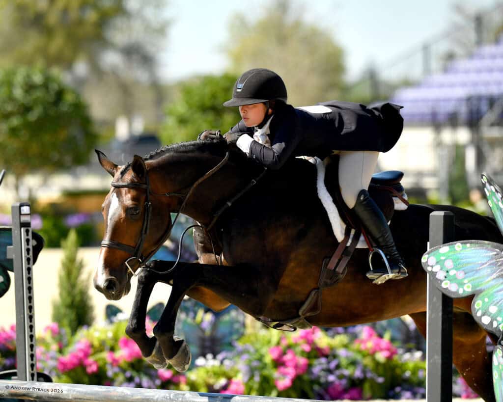 A rider in formal attire and helmet guides a horse over a jump during an equestrian event, with colorful flowers and a butterfly decoration in the background.