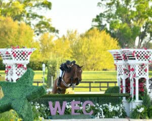 A rider on a brown horse jumps over a green hedge obstacle labeled 