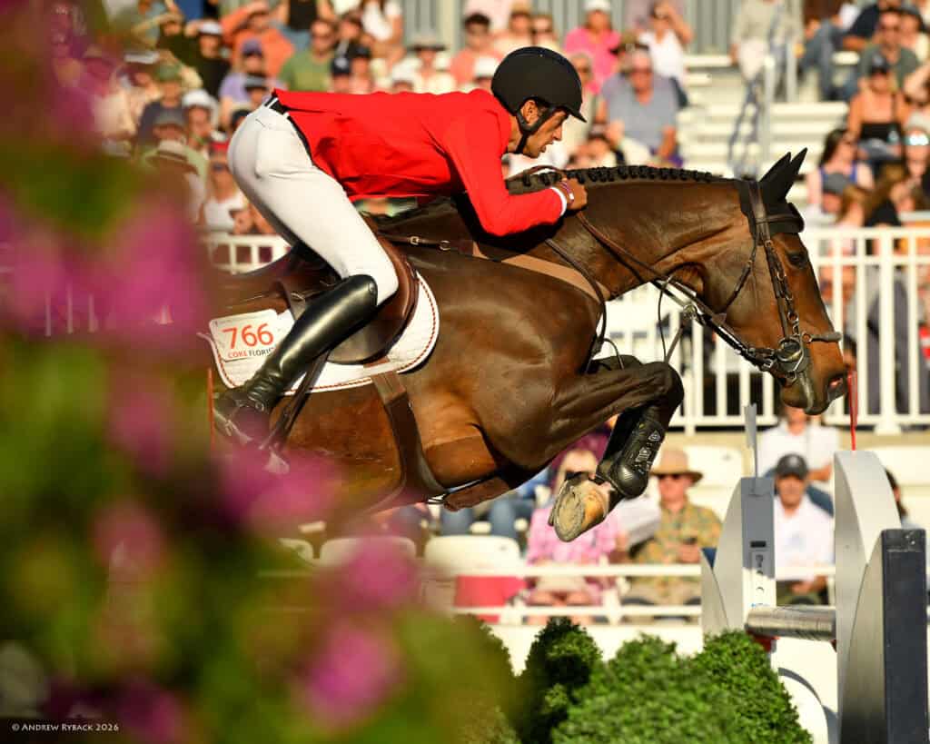 A rider in a red jacket and helmet jumps over an obstacle on a brown horse during an equestrian competition, with spectators in the background.