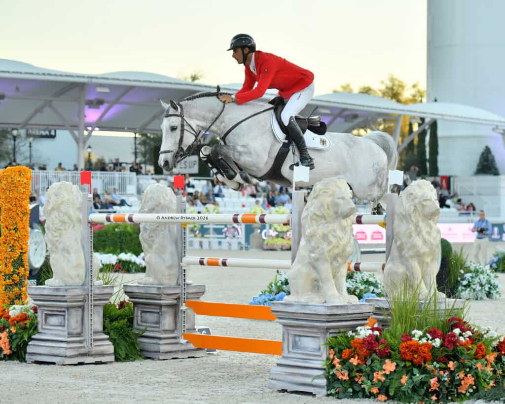 A rider in a red jacket on a gray horse jumps over a barrier decorated with lion statues during an equestrian event.