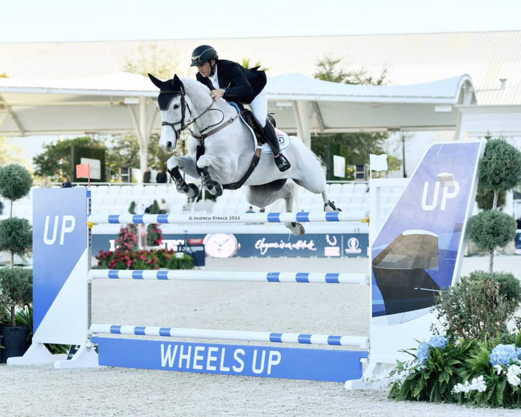A rider in equestrian gear guides a gray horse over a blue and white 