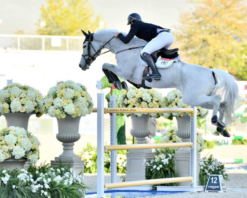 A rider in a black jacket and white pants guides a gray horse over a yellow and white jump surrounded by flower arrangements during an equestrian event.
