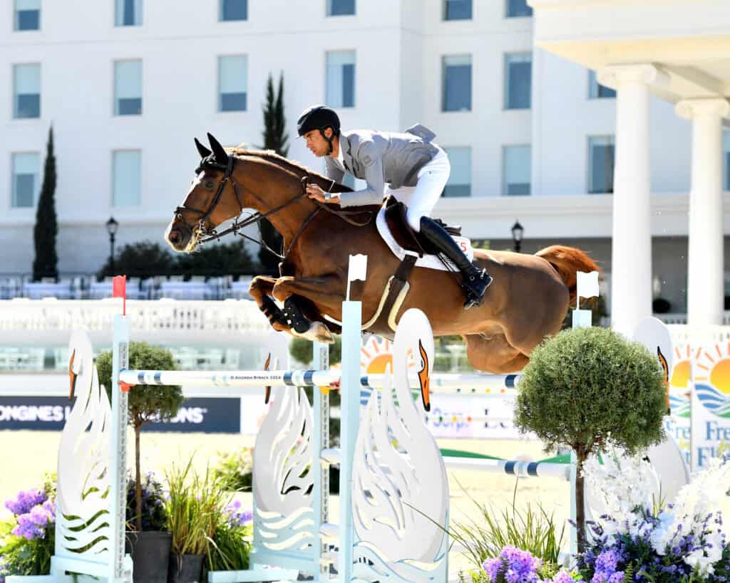 A rider in equestrian gear guides a brown horse over a high jump during a show jumping competition at an outdoor arena.