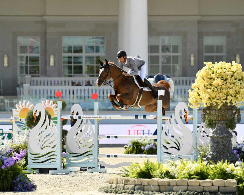 Equestrian rider in a gray jacket and black helmet jumps a brown horse over a white swan-themed obstacle during a show jumping event.