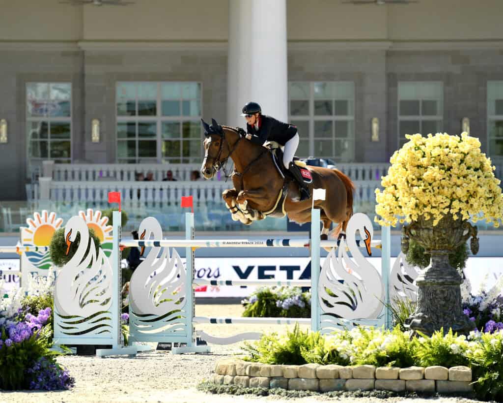 A rider and horse jump over an obstacle decorated with swan designs during an equestrian show jumping competition.