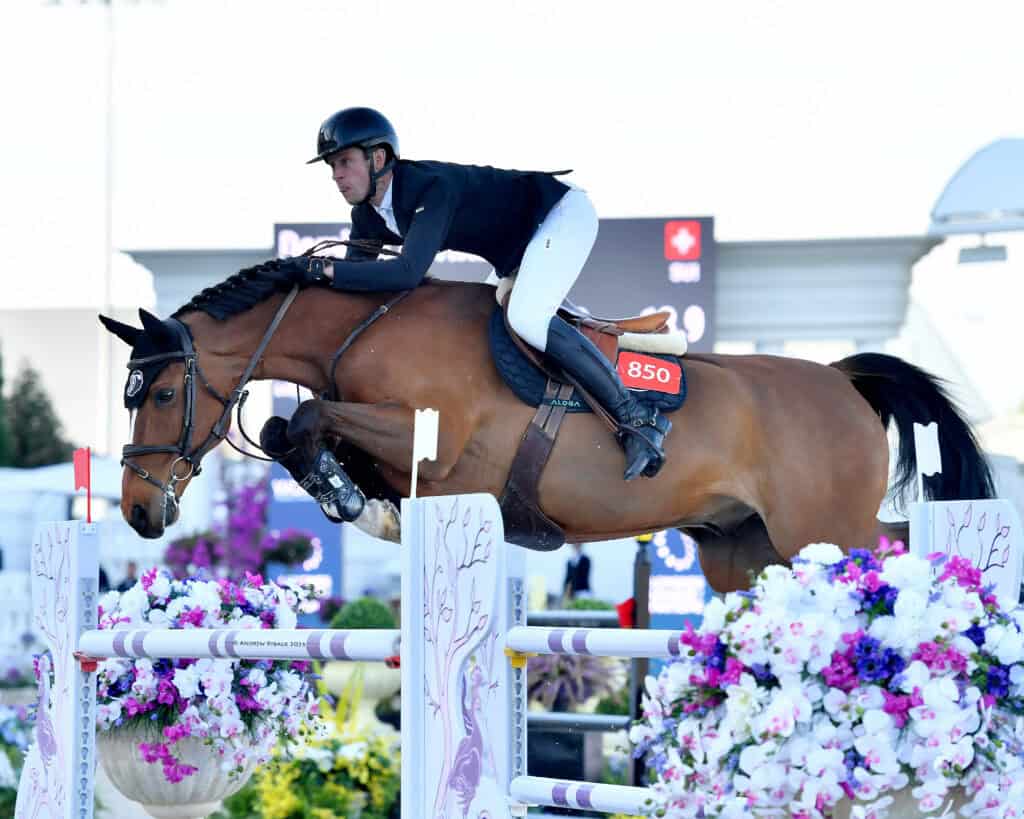 A rider in black attire and a helmet guides a brown horse over a show jumping obstacle decorated with colorful flowers.