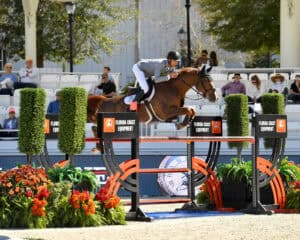 A rider in equestrian gear guides a horse over a show jumping obstacle labeled 