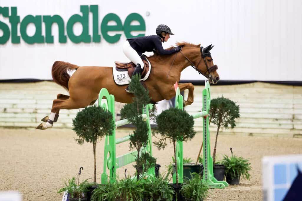 A rider wearing a helmet and show attire jumps a brown horse over a green obstacle during an indoor equestrian event.