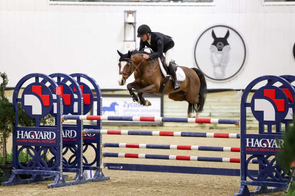 An equestrian rider on a brown horse jumps over a blue and red obstacle during an indoor show jumping competition.