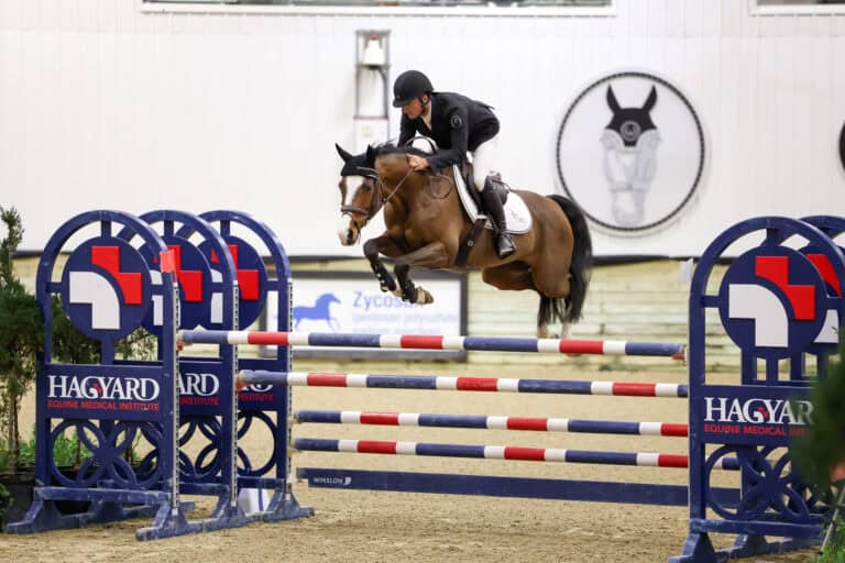 An equestrian rider on a brown horse jumps over a blue and red obstacle during an indoor show jumping competition.