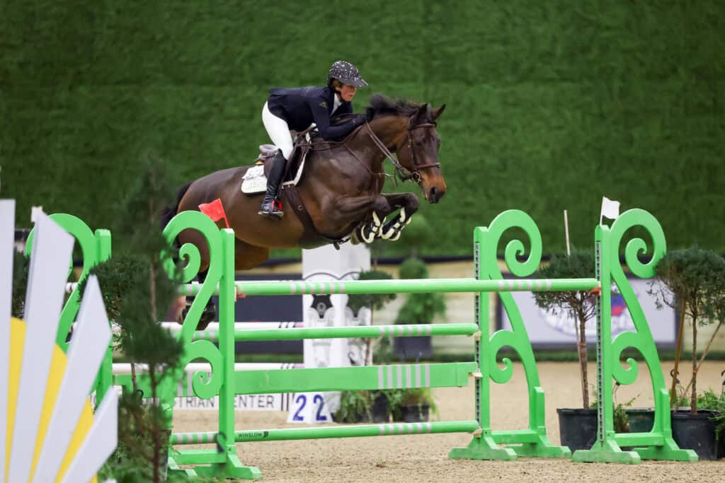 A rider in equestrian gear guides a horse over a green jump during an indoor show jumping competition.
