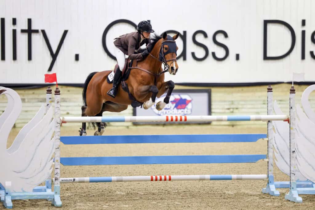 An equestrian rider and horse jump over a blue and white hurdle in an indoor arena during a show jumping competition.
