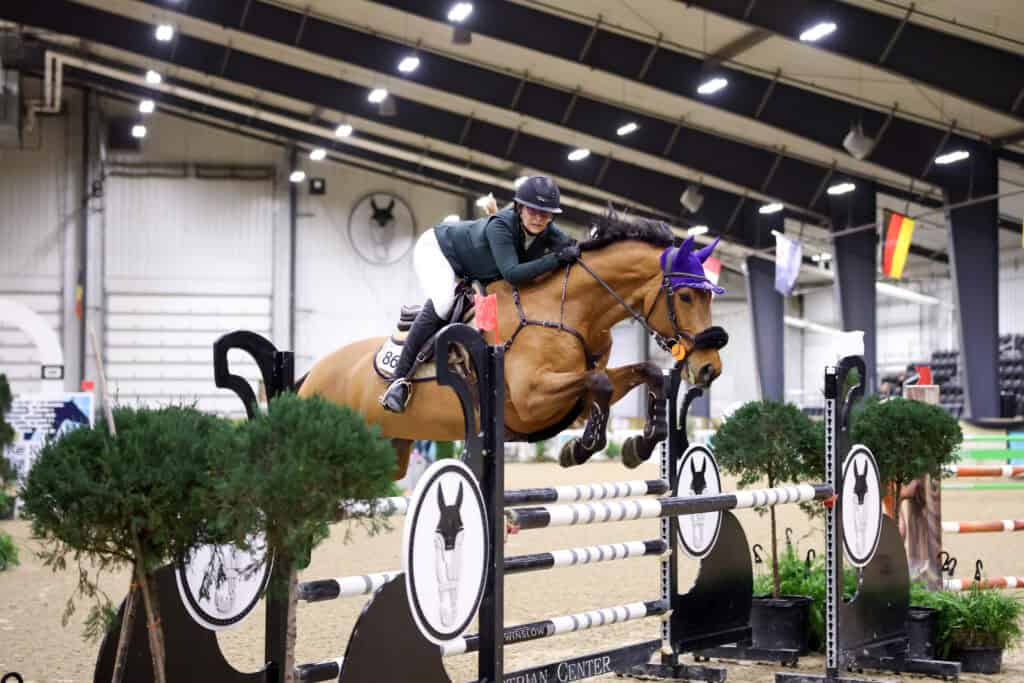 A rider and horse clear a jump during an indoor equestrian show jumping competition, with decorative plants and poles in the arena.