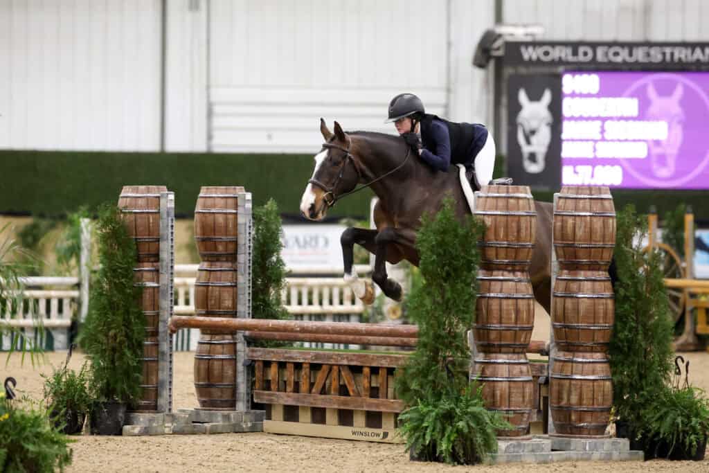 A rider in a helmet and jacket guides a horse over a wooden jump during an indoor equestrian event.