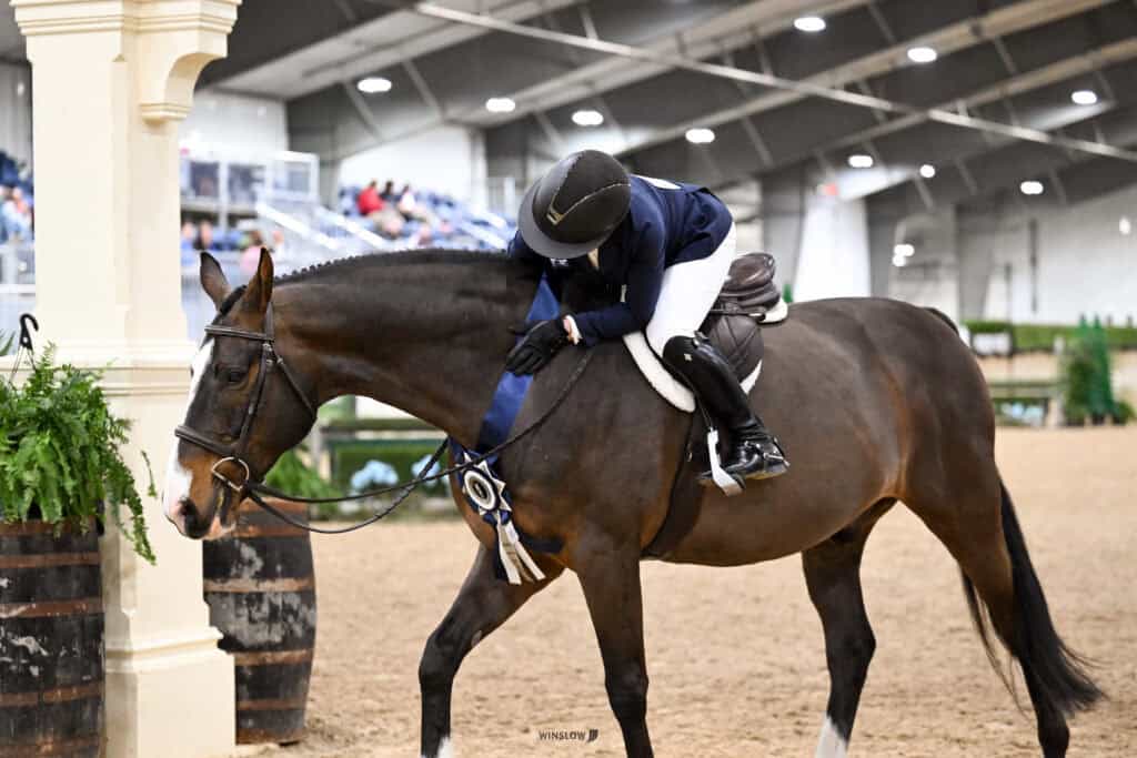 Equestrian rider in a navy jacket and helmet leans forward to hug their brown horse, who wears a blue ribbon, inside an indoor arena.