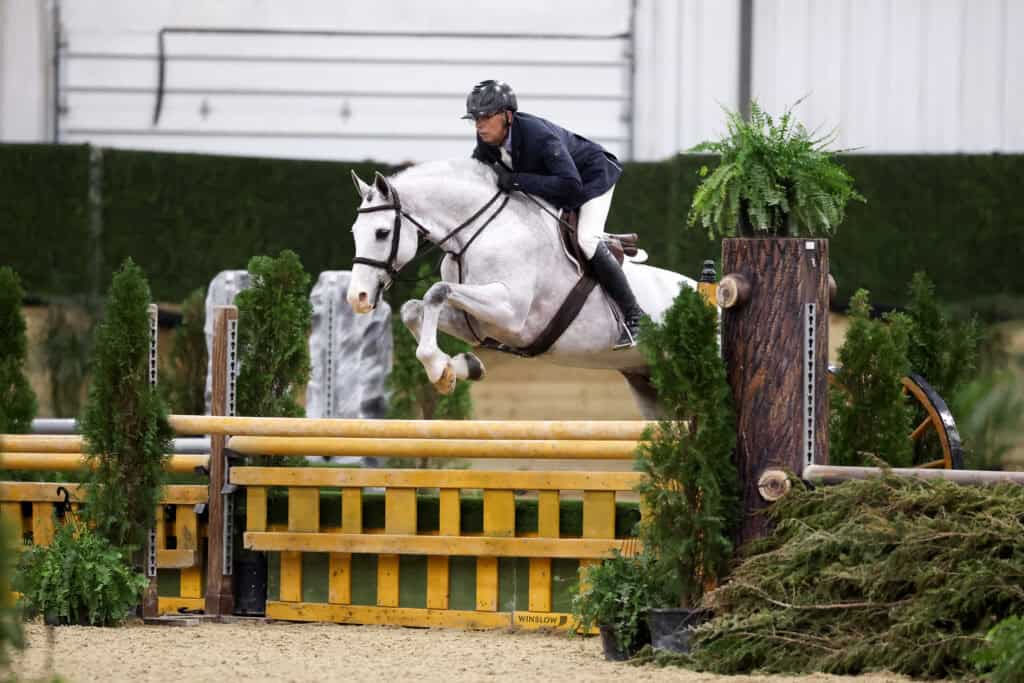 A rider in a helmet and jacket guides a white horse over a yellow and brown jump during an indoor equestrian event, surrounded by green plants and barriers.