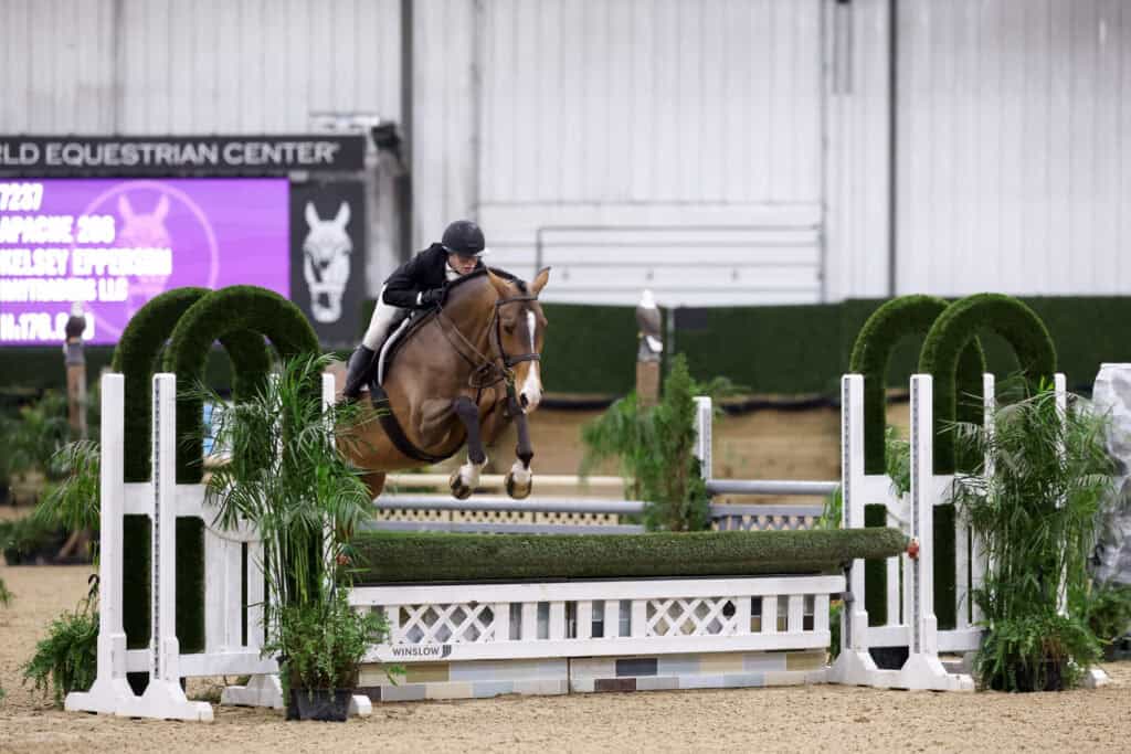 A rider in equestrian gear jumps a brown horse over a green and white obstacle in an indoor arena.