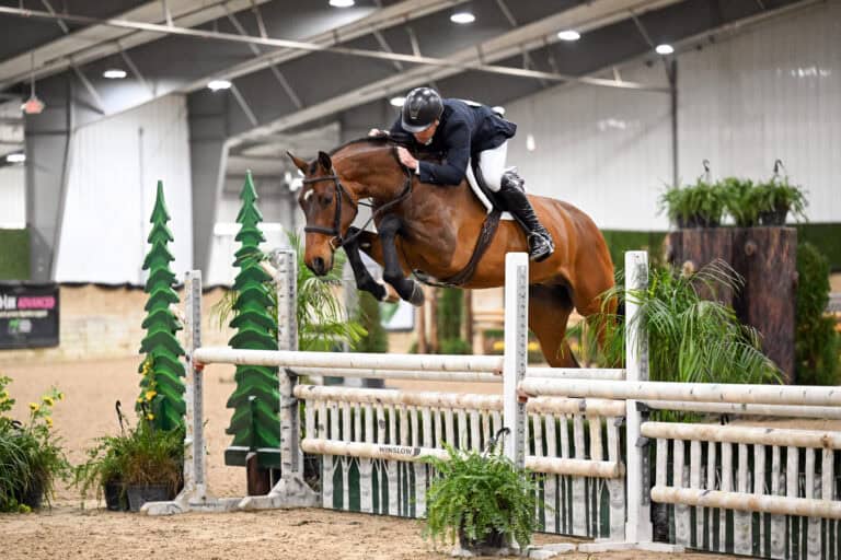 A rider in equestrian gear guides a horse over a jump during an indoor show jumping event, with greenery and decorative obstacles visible.