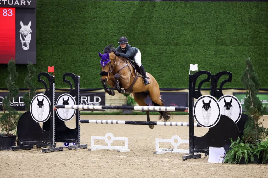 A rider in equestrian gear guides a horse with a purple ear bonnet over a jump at an indoor show jumping competition.