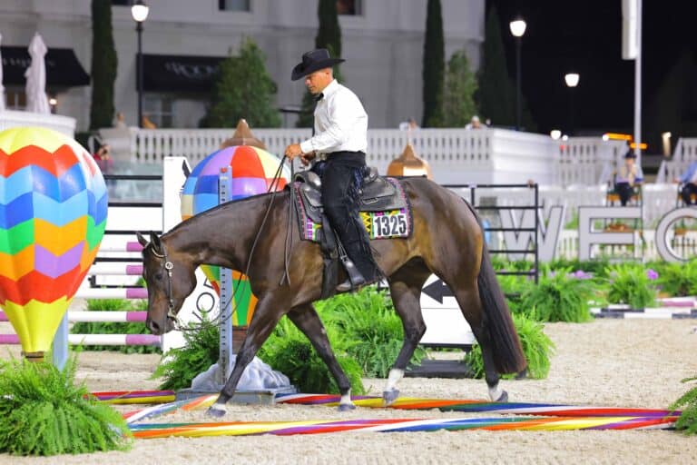 A rider in a white shirt and black hat rides a brown horse through a colorful obstacle course with balloon decorations at an equestrian event.