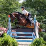 A rider in a white shirt and helmet guides a brown horse over a blue jump during an outdoor equestrian event, surrounded by greenery and decorative plants.