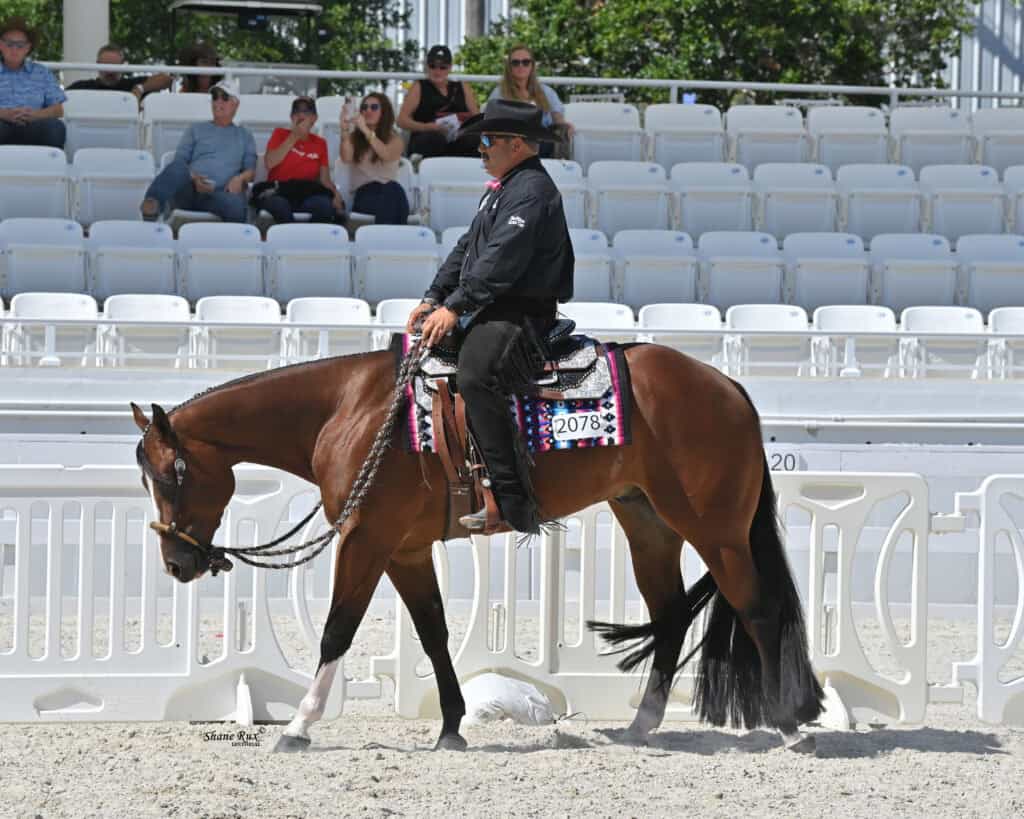 A person wearing a black hat and shirt rides a brown horse with braided mane in an arena with white fences and empty seats; a few spectators watch from the stands.